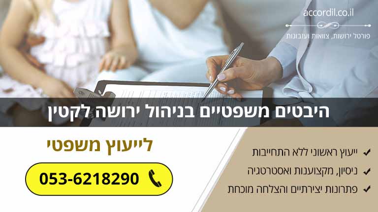 היבטים משפטיים בניהול ירושה לקטין