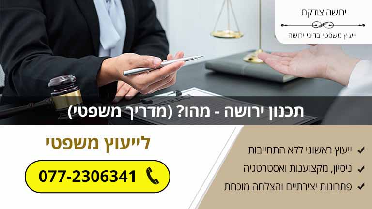 תכנון ירושה - מהו? (מדריך משפטי) תכנון ירושה - מהו? (מדריך משפטי)